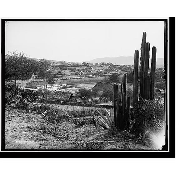 Historic Print, Cardenas, 18" x 24"