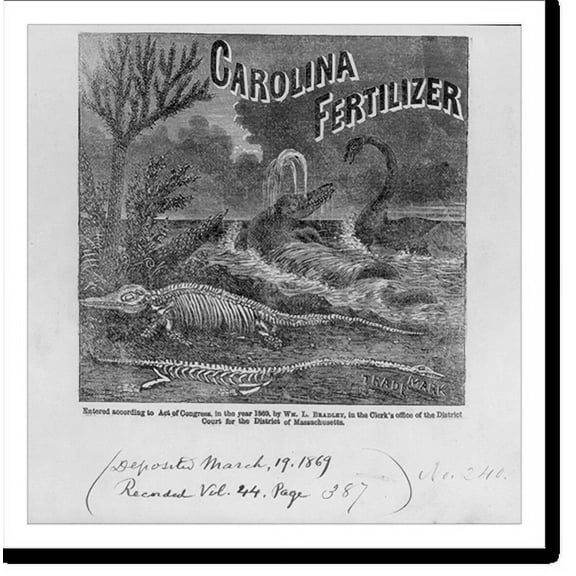 Historic Print, Carolina Fertilizer, 18" x 24"