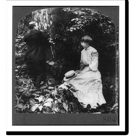 Historic Print, Carving their names for memory's sake, 18" x 24"