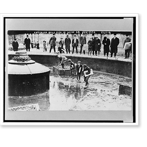 Historic Print, Catching goldfish in Union Square, N.Y. Dec. 1908, 18" x 24"