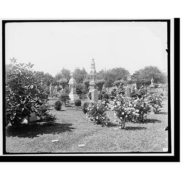 Historic Print, [Cedar Grove Cemetery, near Flushing, Long Island, N.Y