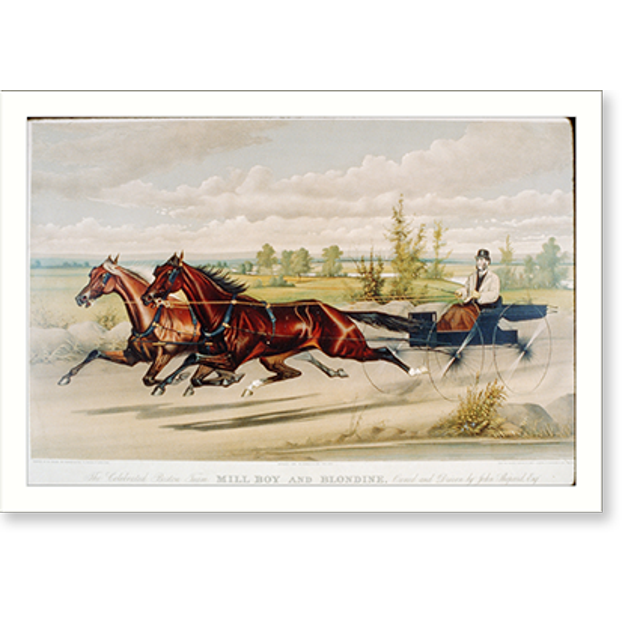 Historic Print, Celebrated Boston team mill boy and Blondine, owned and