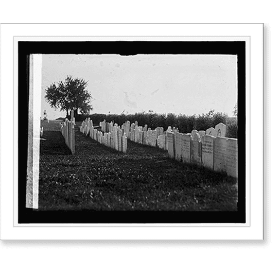 Historic Print, Cemetary at Frederick, Md., 16" x 20"