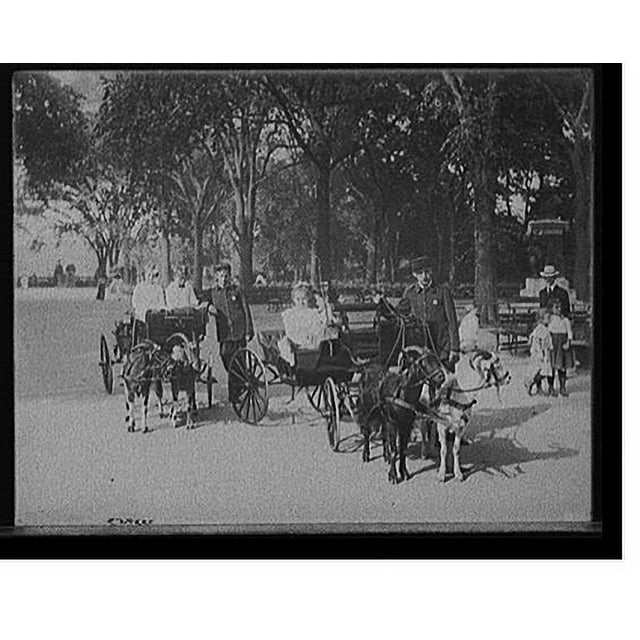Historic Print, [Central Park, goat carriages in the park, New York, N