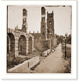 Historic Print, Charleston South Carolina. Broad street looking east