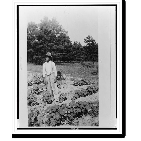 Historic Print, Charley Mitchell, ex-slave, Marshall, 18" x 24"
