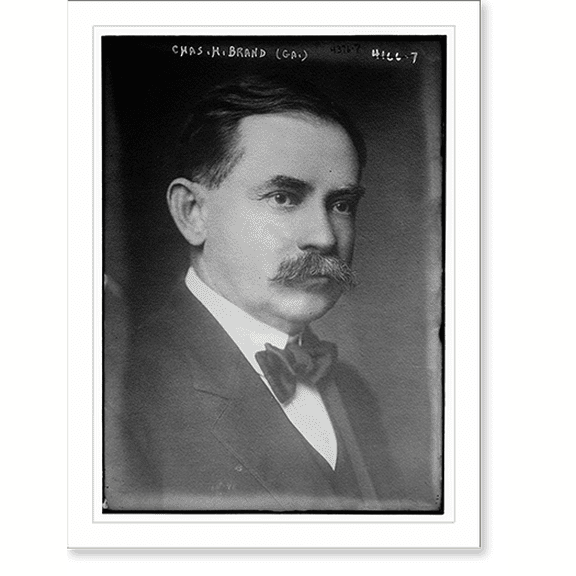 Historic Print, Chas. H. Brand (Ga.), 18" x 24"