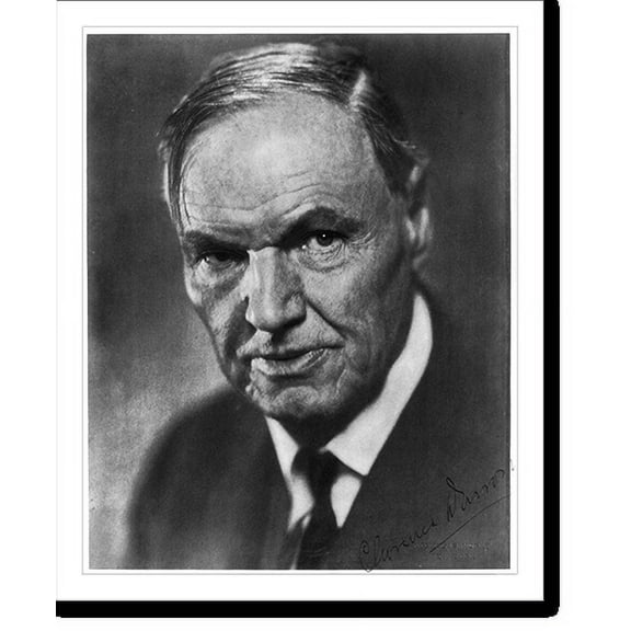 Historic Print, [Clarence Seward Darrow, 1857-1938, head-and-shoulders portrait, facing left], 16" x 20"