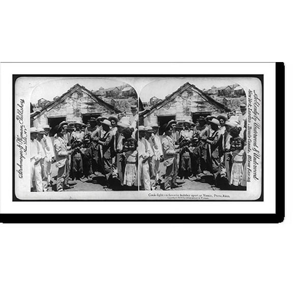 Historic Print, Cock-fight - a favorite holiday sport at Yauco, Porto Rico, 16" x 20"