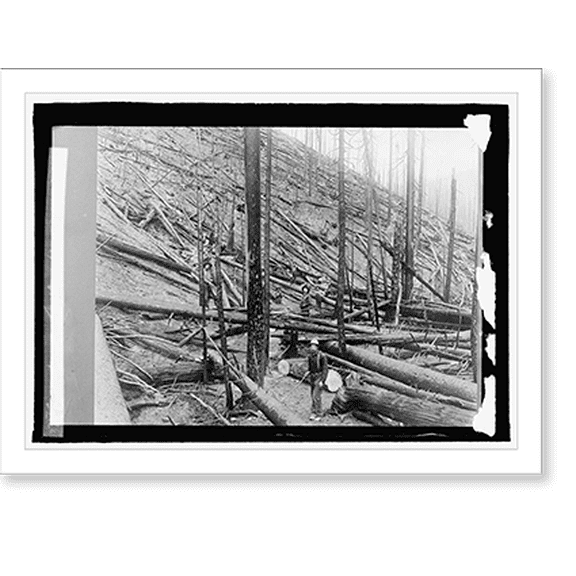Historic Print, Coeur d'Alene Nat. Forest, Idaho, 18" x 24"