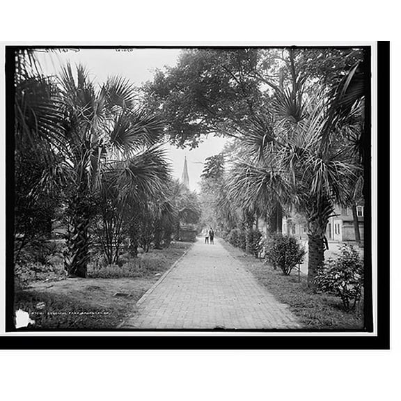 Historic Print, Colonial Park, Savannah, Ga. - 2, 16" x 20"