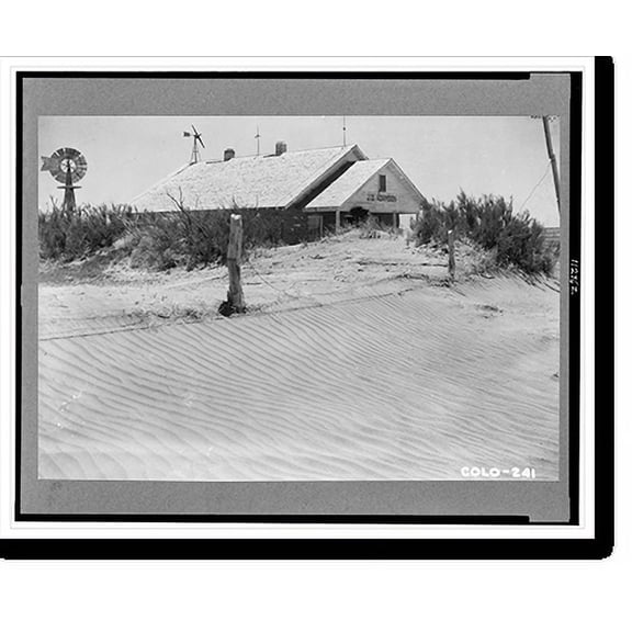 Historic Print, Colorado (?) June 1938. Showing blow dirt accumulation in fence and windbreaker to a depth of about 5'.photo by B.C. McLean., 16" x 20"