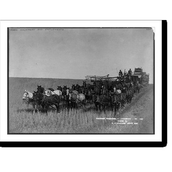 Historic Print, Combined harvester & thrasher [drawn by large team of horses], 18" x 24"