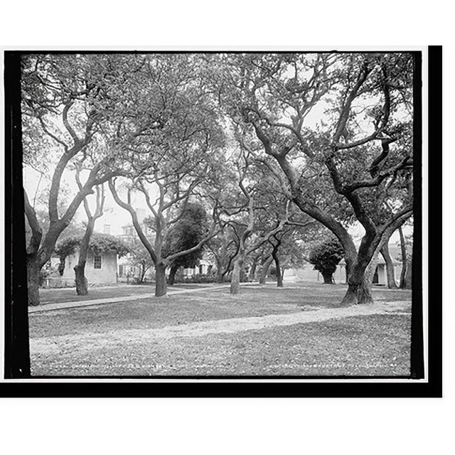 Historic Print, Commanding officer's quarters, Fort Monroe, Va., 16" x