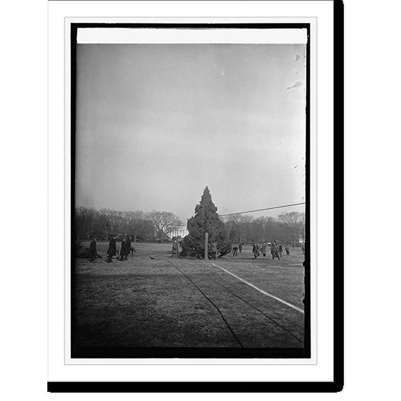 Historic Print, Community Christmas tree, [12/24/23] - 2, 18" x 24"