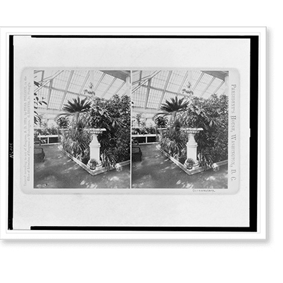 Historic Print, Conservatory, 18" x 24"