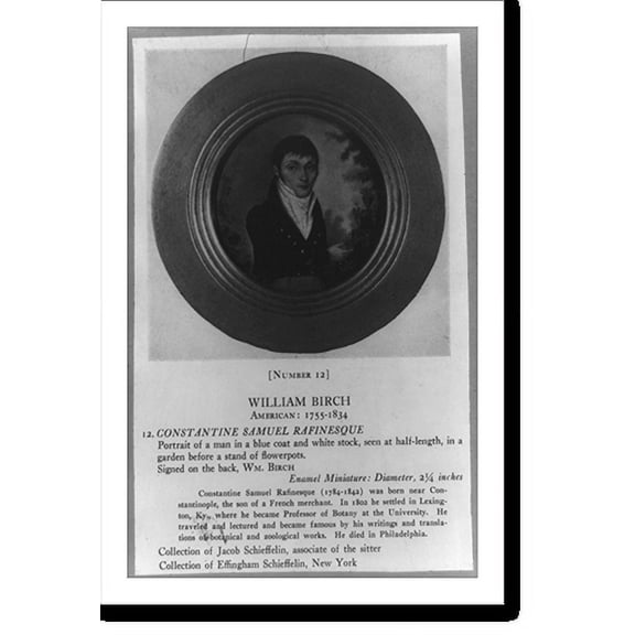 Historic Print, Constantine Samuel Rafinesque, 18" x 24"