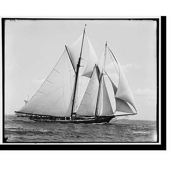 Historic Print, Constellation, 16" x 20"