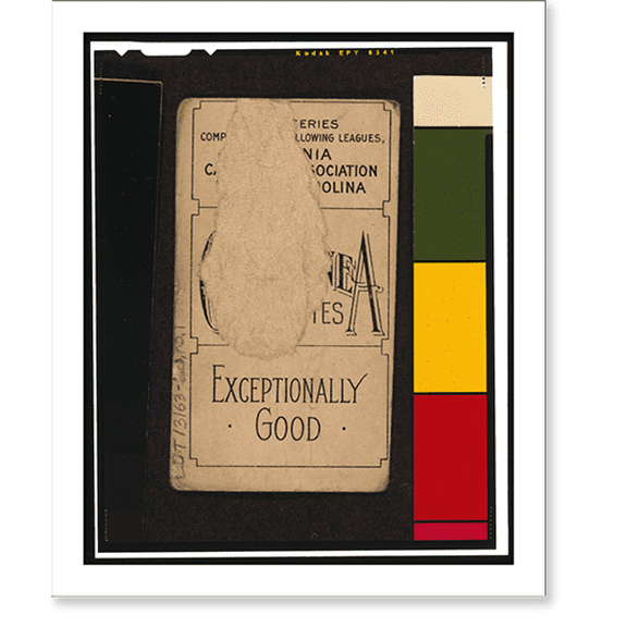Historic Print, Contentnea First Series (T209), 16" x 20"