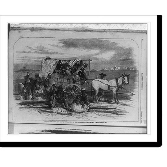 Historic Print, Contrabands coming into camp in consequence of the proclamation.drawn by Mr. A.R. Waud., 16" x 20"