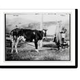 thumbnail image 1 of Historic Print, Coolidge, 16" x 20", 1 of 3