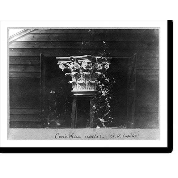 Historic Print, Corinthian capital, U.S. Capitol, 16" x 20"