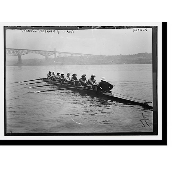 Historic Print, Cornell Fresh. 8 (1914), 16" x 20"