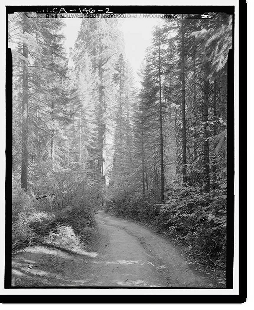 Historic Print, Coulterville Road, Between Foresta & AllWeather