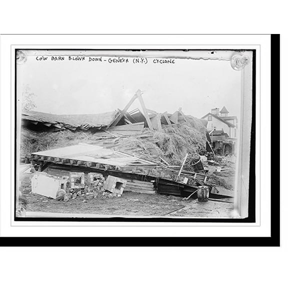Historic Print, Cow barn blown down, Geneva, N.Y., cyclone, 16" x 20"