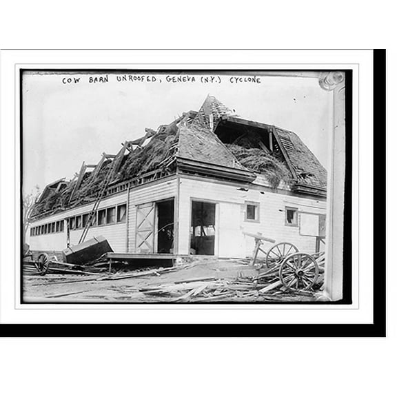 Historic Print, Cow barn unroofed, Geneva, N.Y., Cyclone, 18" x 24"