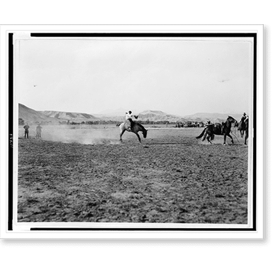 Historic Print, [Cowboy riding bronco while other cowboys look on], 18" x 24"