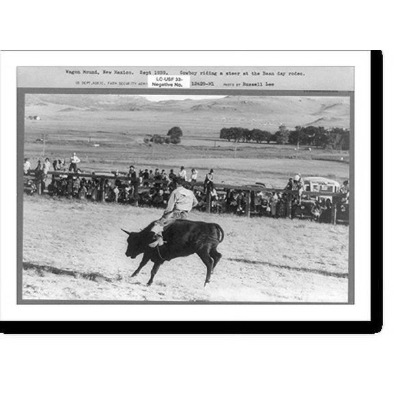 Historic Print, Cowboy riding steer, Bean Day rodeo, Wagon Mound, New Mexico, 18" x 24"