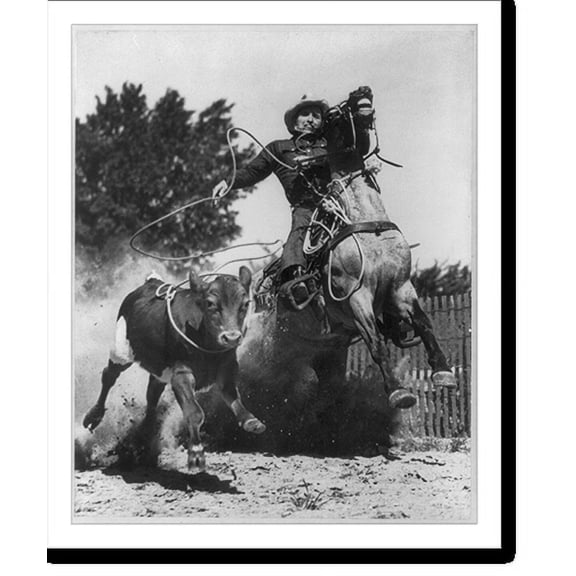 Historic Print, [Cowboy roping calf], 16" x 20"