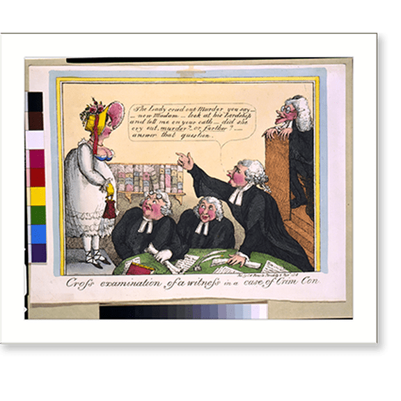 Historic Print, Cross examination of a witness in a case of crim con, 16" x 20"