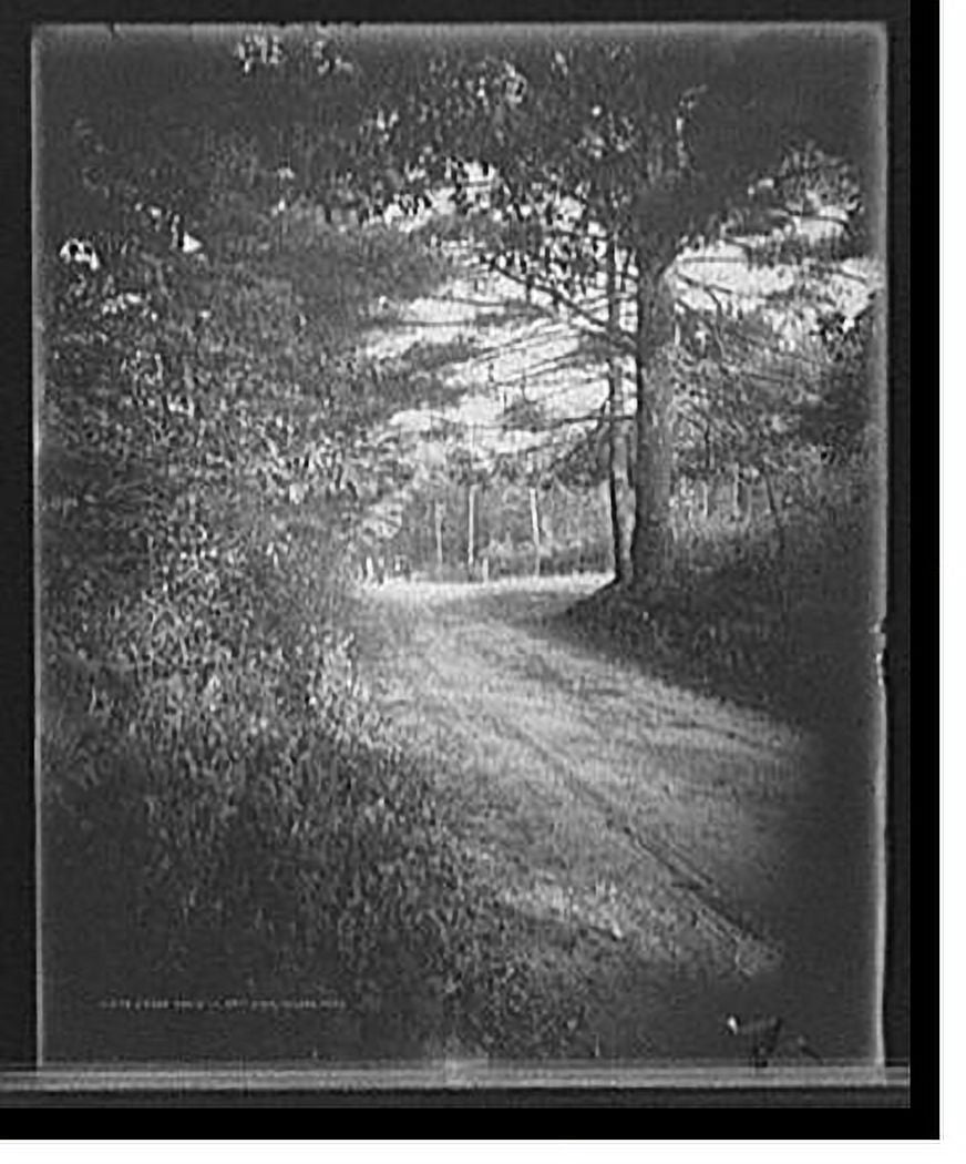 Historic Print, Cross roads to Spot Pond, Malden, Mass., 16" x 20