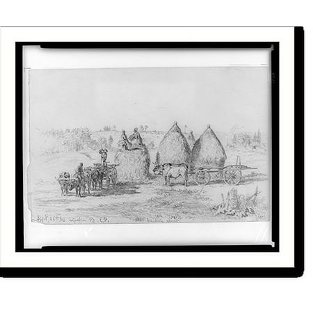 Historic Print, Culpepper [i.e., Culpeper], Va.. Stacking wheat.E.F., 18" x 24"