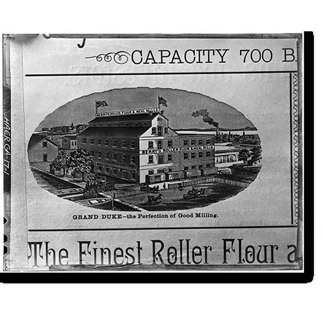 Historic Print, Cunningham's Flour Mill, Augusta Canal, Augusta