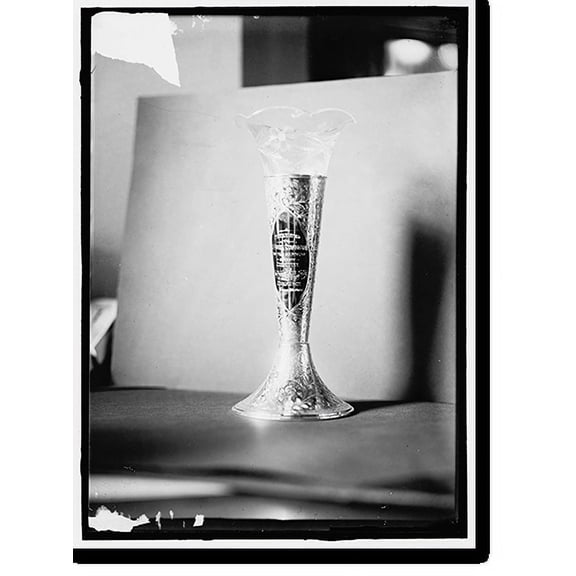 Historic Print, [Cup or Vase Presented to J. Harry Covington by the members of the Committee of Interstate and Foreign Commerce, June 30, 1914]", 18" x 24"