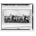 thumbnail image 1 of Historic Print, Cutting the sugar cane Porto Rico, 18" x 24", 1 of 3