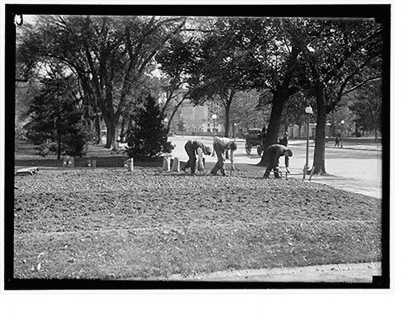 Historic Print, DISTRICT OF COLUMBIA PARKS. PLANTING FLOWER BED IN