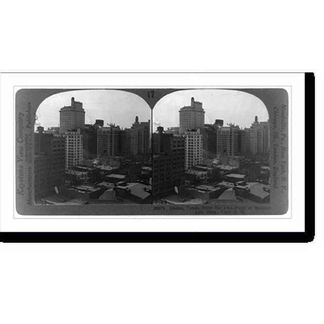 Historic Print, Dallas, Texas, from the 14th floor of Medical Arts Bldg