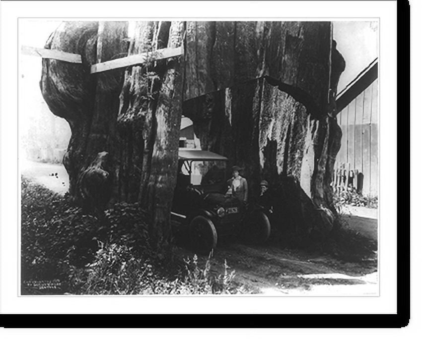 Historic Print, [Darius Kinsey, Jr., and his mother Tabitha Kinsey with