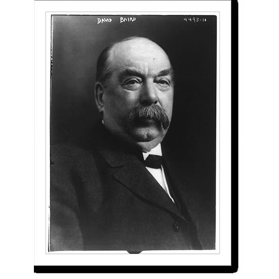 Historic Print, [David Baird, 1839-1927, (Senator from N.J.), bust portrait, facing right], 16" x 20"
