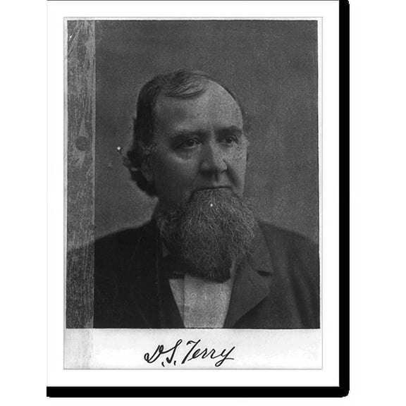 Historic Print, [David Smith Terry, 1823-1889, bust portrait, facing right], 16" x 20"
