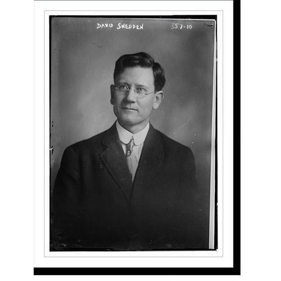 Historic Print, David Snedden, portrait bust, 16" x 20"
