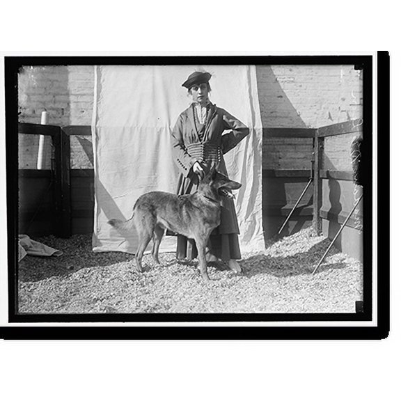 Historic Print, DeLEON, MME. DOG SHOWS - 2, 18" x 24"