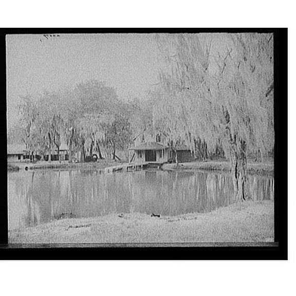 Historic Print, [DeLeon Springs near De Land, Fla.], 18" x 24"