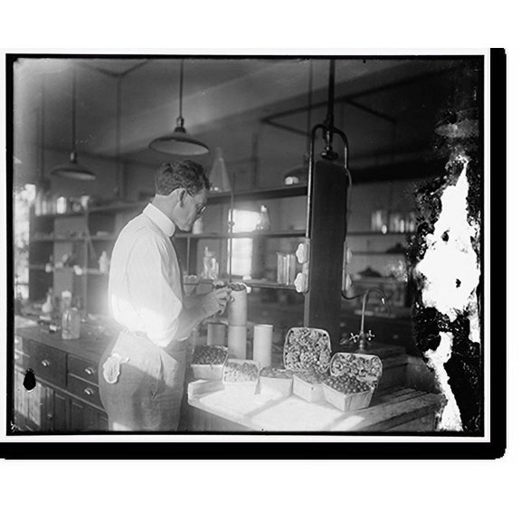 Historic Print, Dept. of Agri. Frozen fruit - 2, 18" x 24"