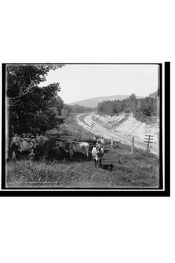 Historic Print, Devil's Lake, Wis., Hopkin's jerseys, 18" x 24"