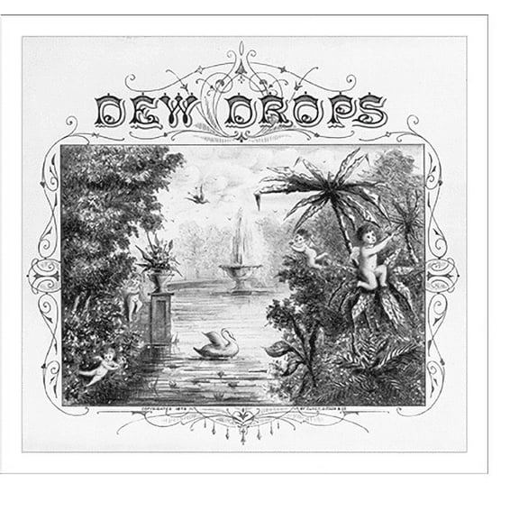 Historic Print, Dew Drops, 16" x 20"